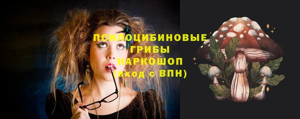 метадон Михайловск