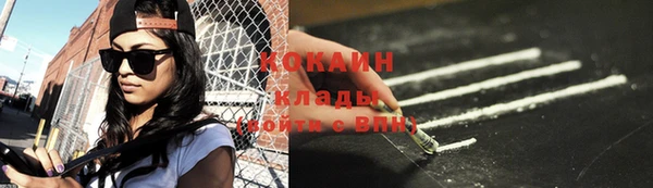 ГАЛЛЮЦИНОГЕННЫЕ ГРИБЫ Михайлов