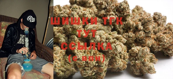 ГАЛЛЮЦИНОГЕННЫЕ ГРИБЫ Михайлов