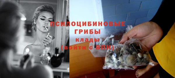 ГАЛЛЮЦИНОГЕННЫЕ ГРИБЫ Михайлов