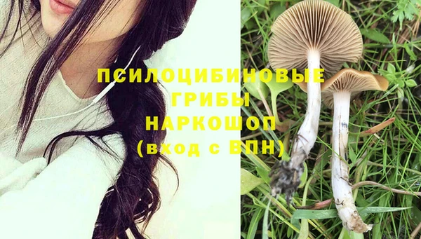 ГАЛЛЮЦИНОГЕННЫЕ ГРИБЫ Михайлов