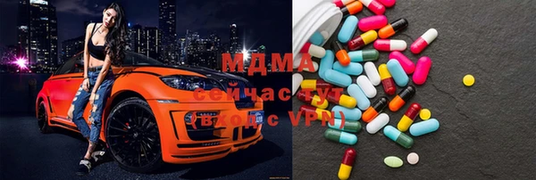 ГАЛЛЮЦИНОГЕННЫЕ ГРИБЫ Михайлов