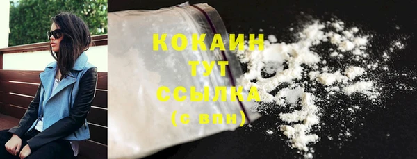 ГАЛЛЮЦИНОГЕННЫЕ ГРИБЫ Михайлов