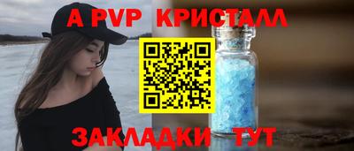 СК Вышний Волочёк