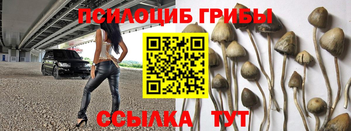 Псилоцибиновые грибы ЛСД Одинцово